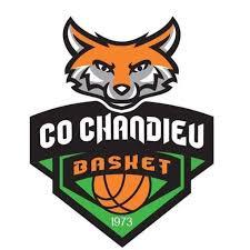 CO CHANDIEU - 1